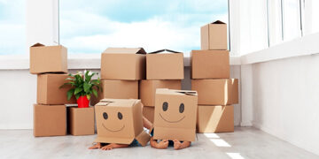 Domestic Packers Movers Service